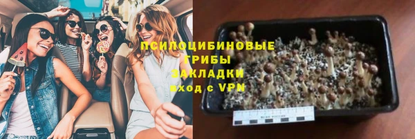 амф Алексеевка