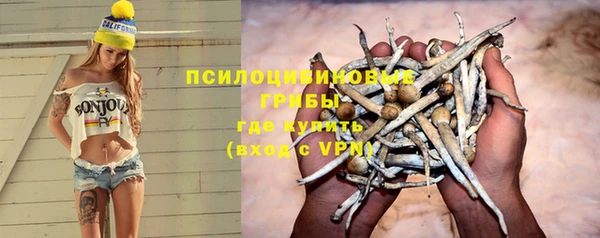 амф Алексеевка