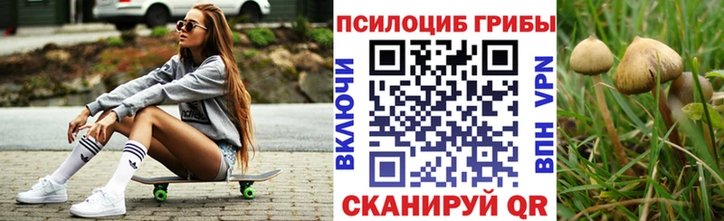 сколько стоит  MEGA онион  Галлюциногенные грибы Psilocybine cubensis  Спасск-Рязанский 